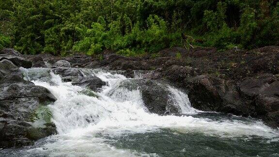 夏威夷毛伊岛竹林中的瀑布