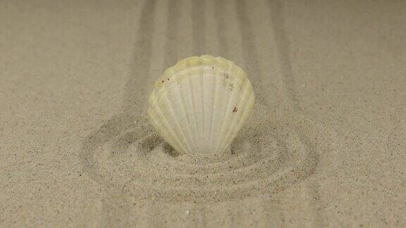 一个白色的贝壳站在一圈沙子里