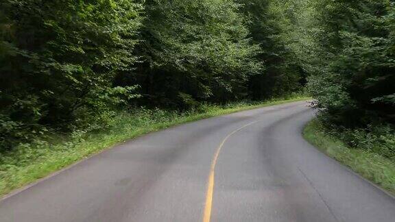 4KPOV视频的汽车行驶在山区森林道路魁北克加拿大