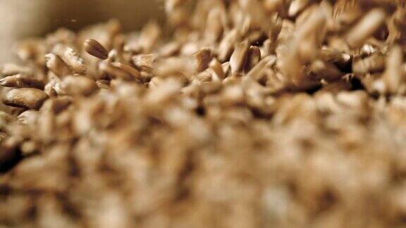 慢动作麦子落在一堆上