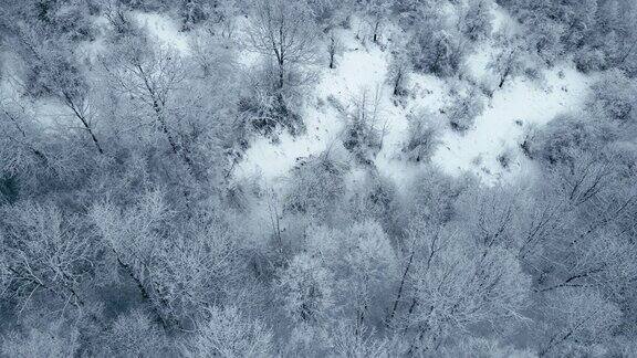 冬天的天线在浓雾覆盖的雪山上飞行