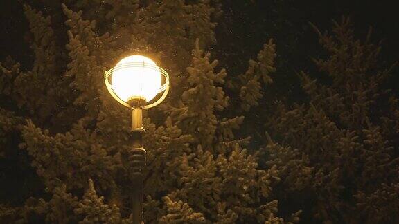 在灯柱的背景下下雪的夜晚