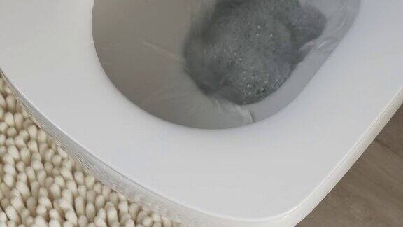 豪华浴室的白色陶瓷马桶和坐浴盆