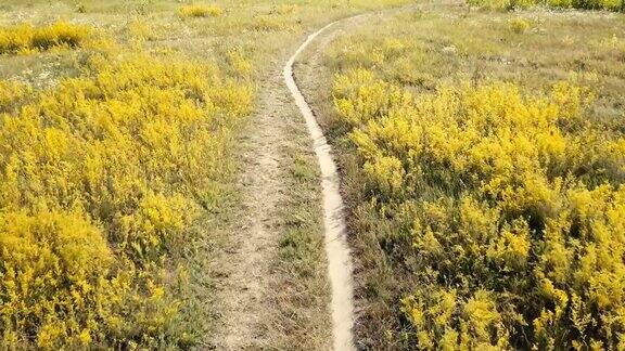 穿过草地黄色草地的那条土路向右拐