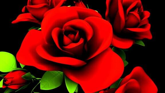黑色背景下的红玫瑰花束