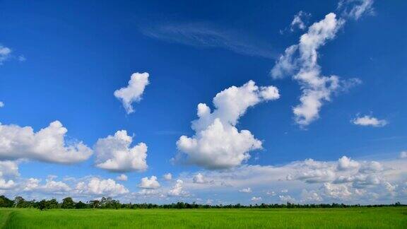 背景移动云在农场时间流逝