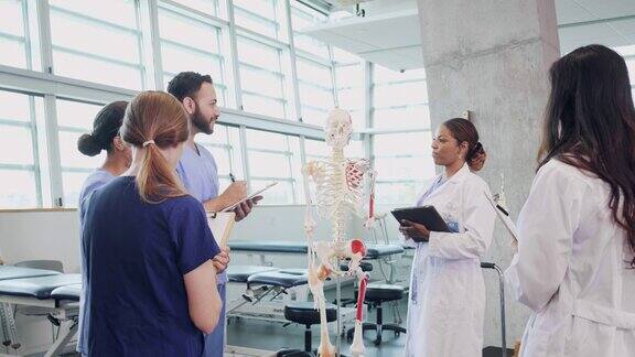 中年医学院教授教授人体骨骼系统