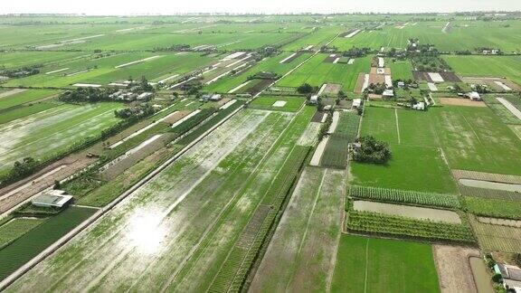 航拍视频显示湄公河三角洲天江省的稻田里点缀着蔬菜