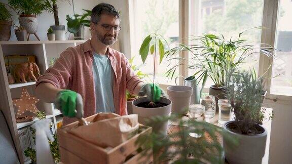 快乐的男性植物学家移植植物