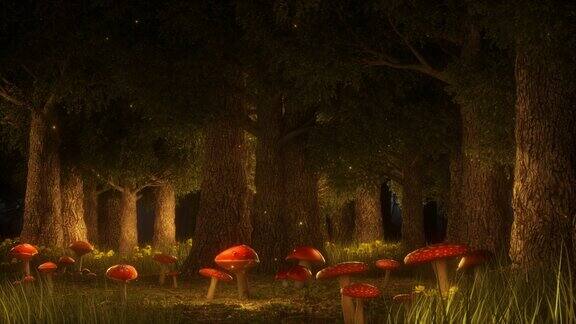 红蘑菇的魔法森林-自然景观循环背景