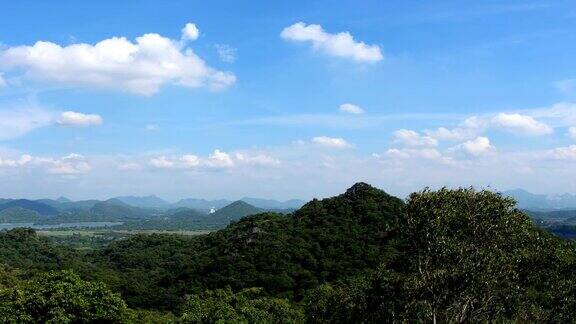 风景明亮的树山天空时间高清