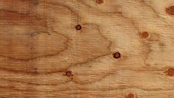 橡木木材纹理