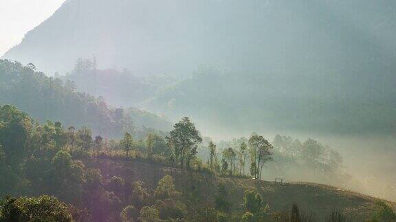 雾滚过流动的热带山脉在早晨的阳光时间流逝视频