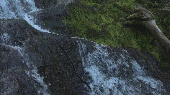 山瀑布与水晶水溪水流过长满苔藓的巨石和浮木