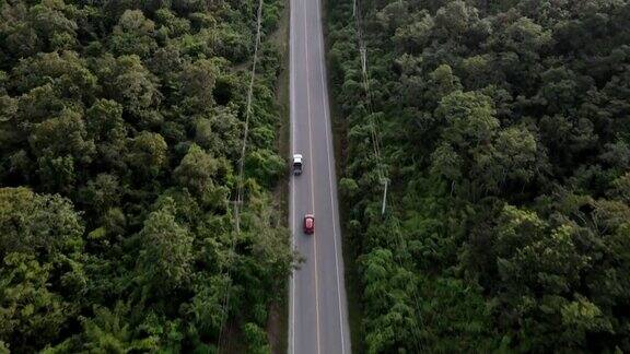 汽车鸟瞰图道路驾驶无人机森林无人机的观点交通旅行