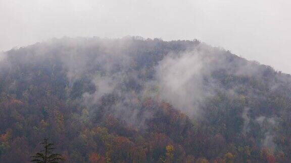 山顶有秋树和暴风云