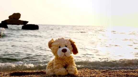 特写玩具狗孤独地坐在沙滩上背对着大海日出或日落