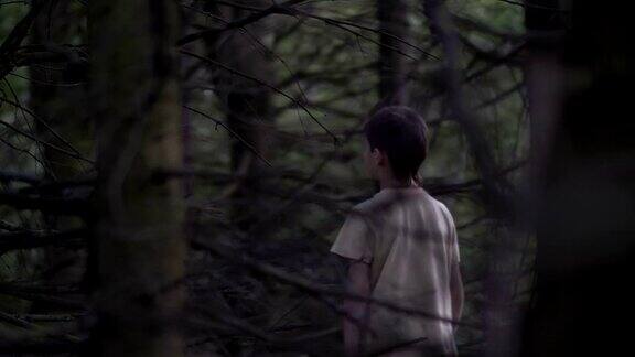 受惊的男孩在傍晚穿过一片可怕的干燥的森林四处张望