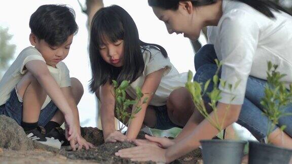亚洲年轻的母亲教两个孩子种植园艺一棵树和照顾自然一起教育孩子可持续发展
