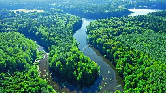日出时弯曲的河流和森林鸟瞰图