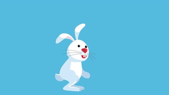 白兔子兔子跳跃卡通孤立动画