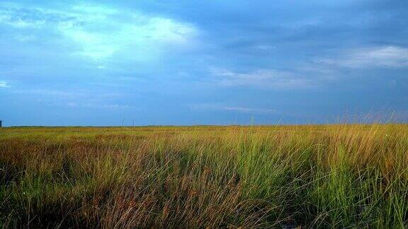 日落时的荒野大草原