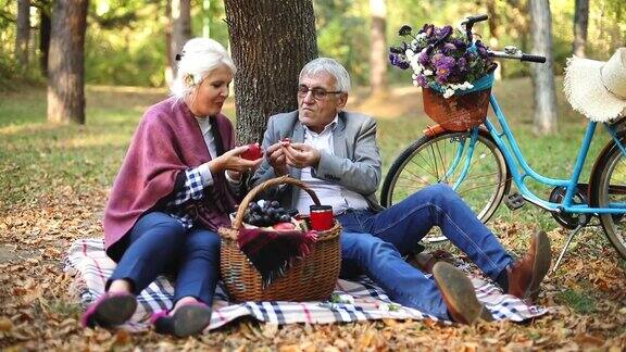 快乐的成熟夫妇野餐