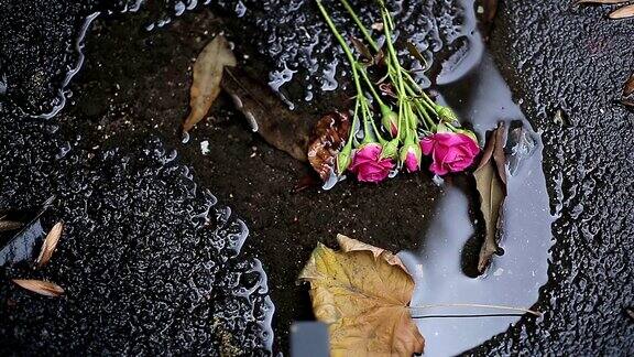 花躺在肮脏的水坑里浪费生命和美丽