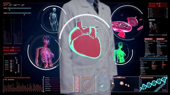 医生触摸数字屏幕女性身体扫描血管、淋巴、心脏、循环系统的数字显示仪表盘蓝色x射线的观点
