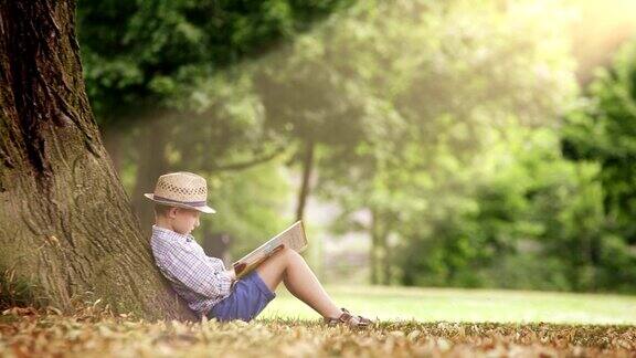 男孩坐在大树下在明亮的阳光下看书