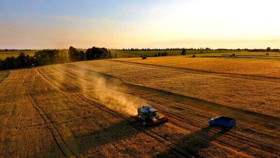 日落时分阳光下的联合收割机在金色的田野上收割小麦鸟瞰图