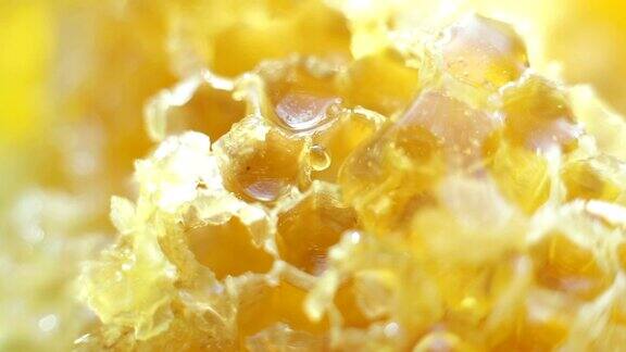 液体蜂蜜在蜂巢上流动