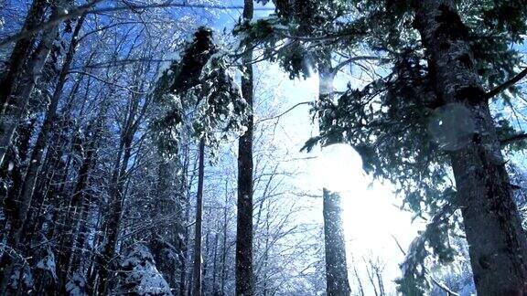 浪漫的冬季自然景观雪山树木全景