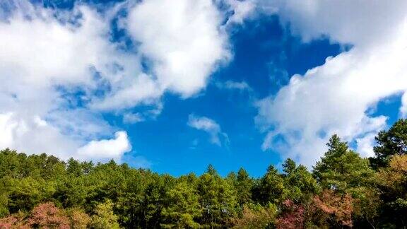 时间流逝松林和移动云蓝天在清迈泰国