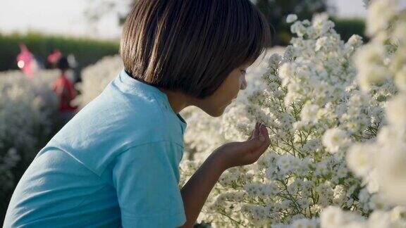 小女孩欣赏着田野里盛开的鲜花