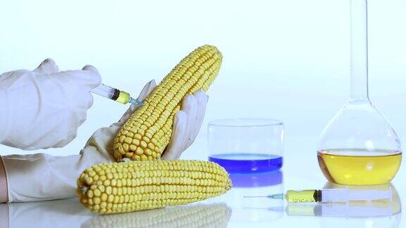 HDDOLLY:修改玉米基因组的科学家