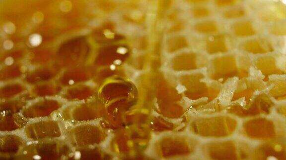 生物蜂蜜和真正的蜂蜜滴在一个罐子里我蜂房滴蜜