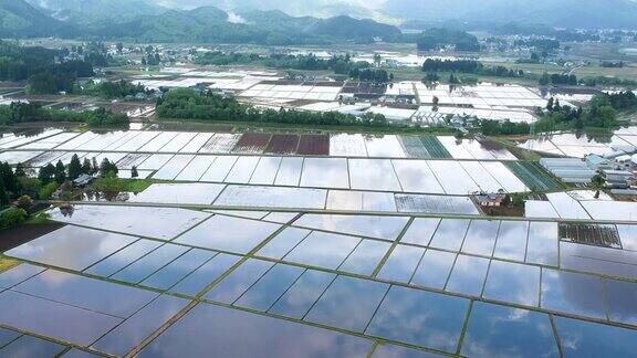 日本水稻种植季节鸟瞰图