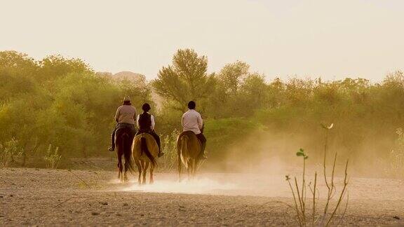 在印度拉贾斯坦邦的一个偏远村庄三个骑马的人疾驰而去夕阳的金色光芒从背后照亮