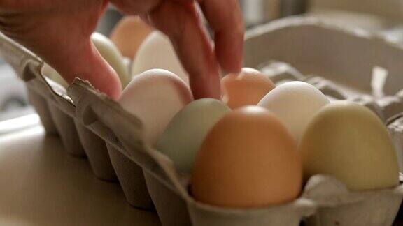 从纸箱里取出鸡蛋