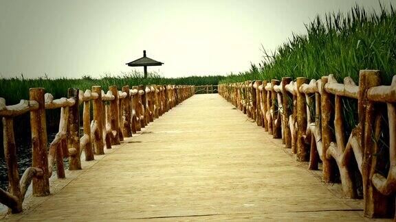 中国黄河湿地