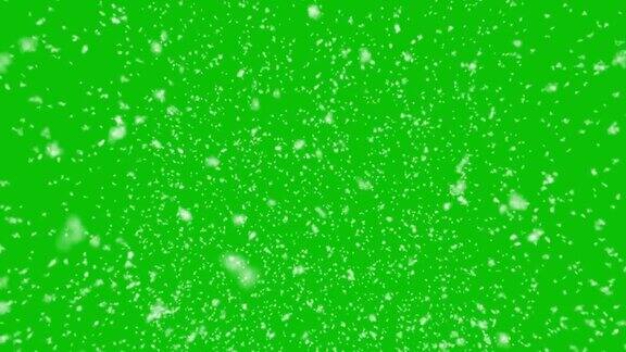 现实的白色冬天的雪落在绿色的屏幕背景