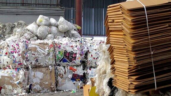 回收纸和纸板的大工厂
