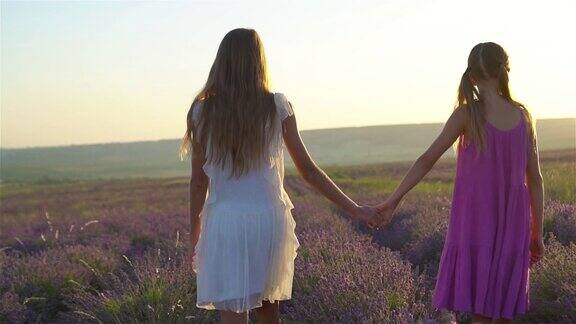 日落时分女孩们穿着白色的连衣裙站在薰衣草花丛中