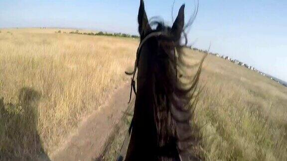 年轻的女孩骑着马在乡间小路上
