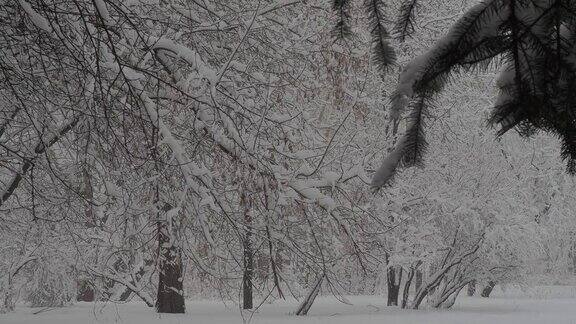 降雪