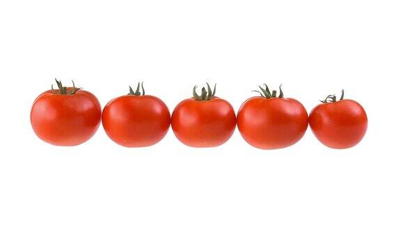 高清循环:西红柿