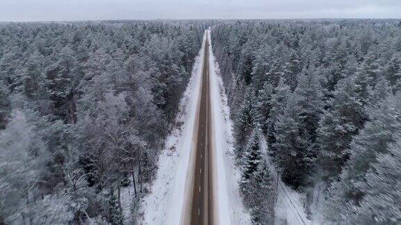 冬天的路在森林里