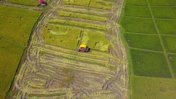 鸟瞰图联合收割机在稻田里收割水稻