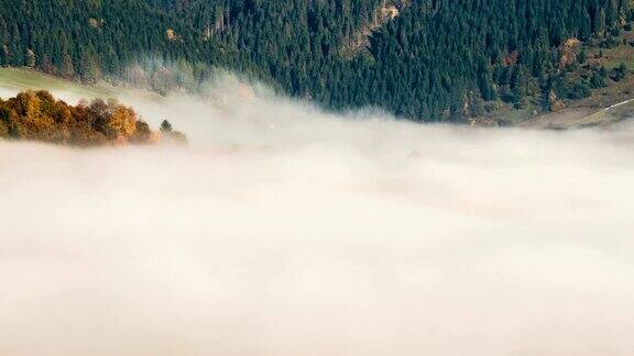 在秋天的森林景观中云雾的波浪快速移动